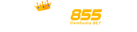 CB855 LOGO